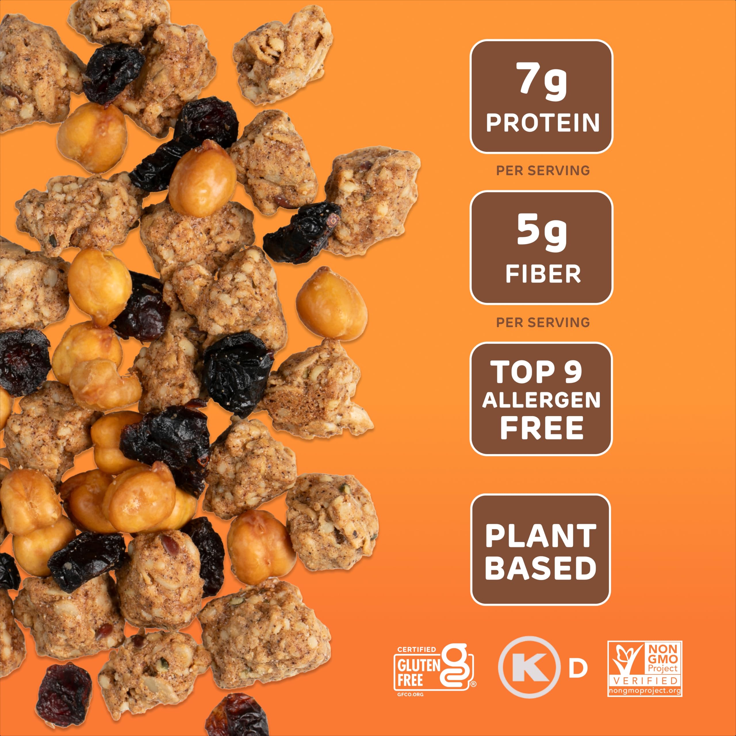 Absurd Snacks closeup of roasted chickpeas and oats showing crunchy texture