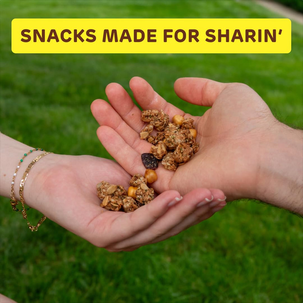 Absurd Snacks spread of raw seeds and dried fruit showing real ingredients