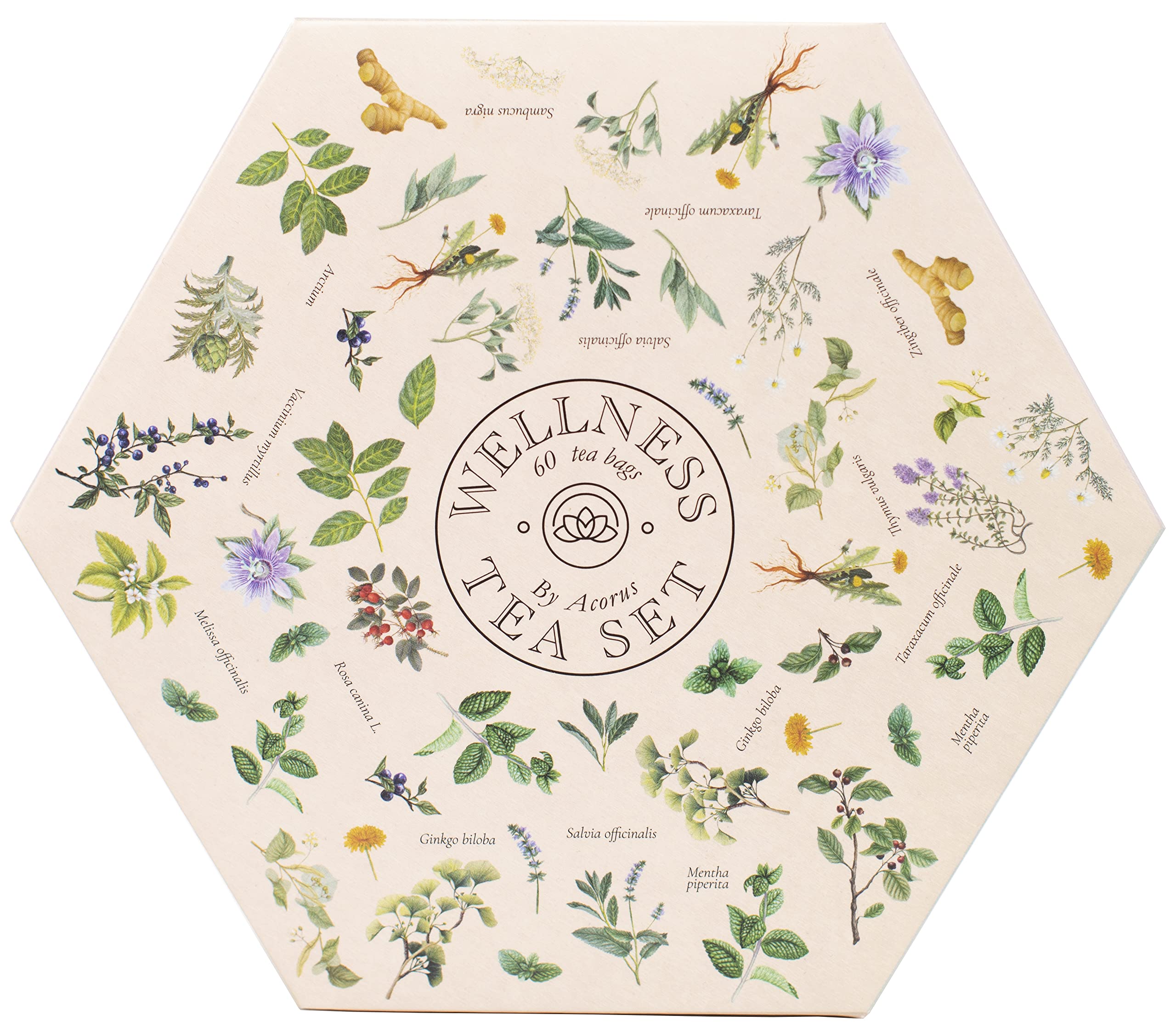 ACORUS gift-ready box with ribbon presented as an elegant present