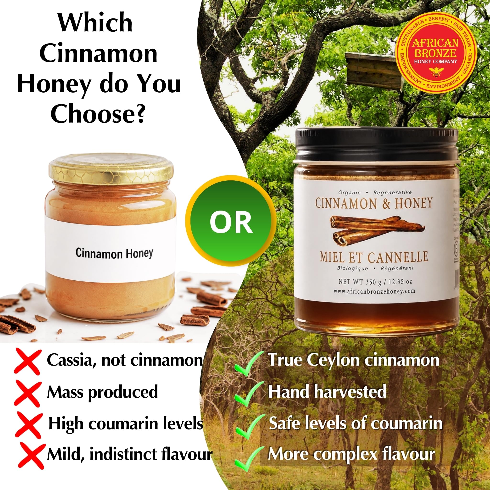 African Bronze Seal honey drizzling on toast demonstrating warming breakfast upgrade