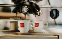 Aiello Caffè espresso shot with crema illustrating rich body and balanced flavor