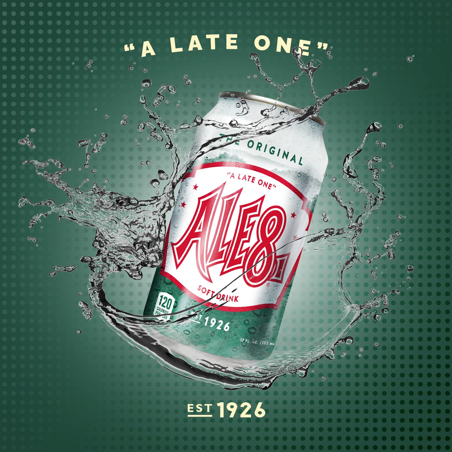 Ale 8 One on picnic table conveying versatile refreshment for outdoor gatherings