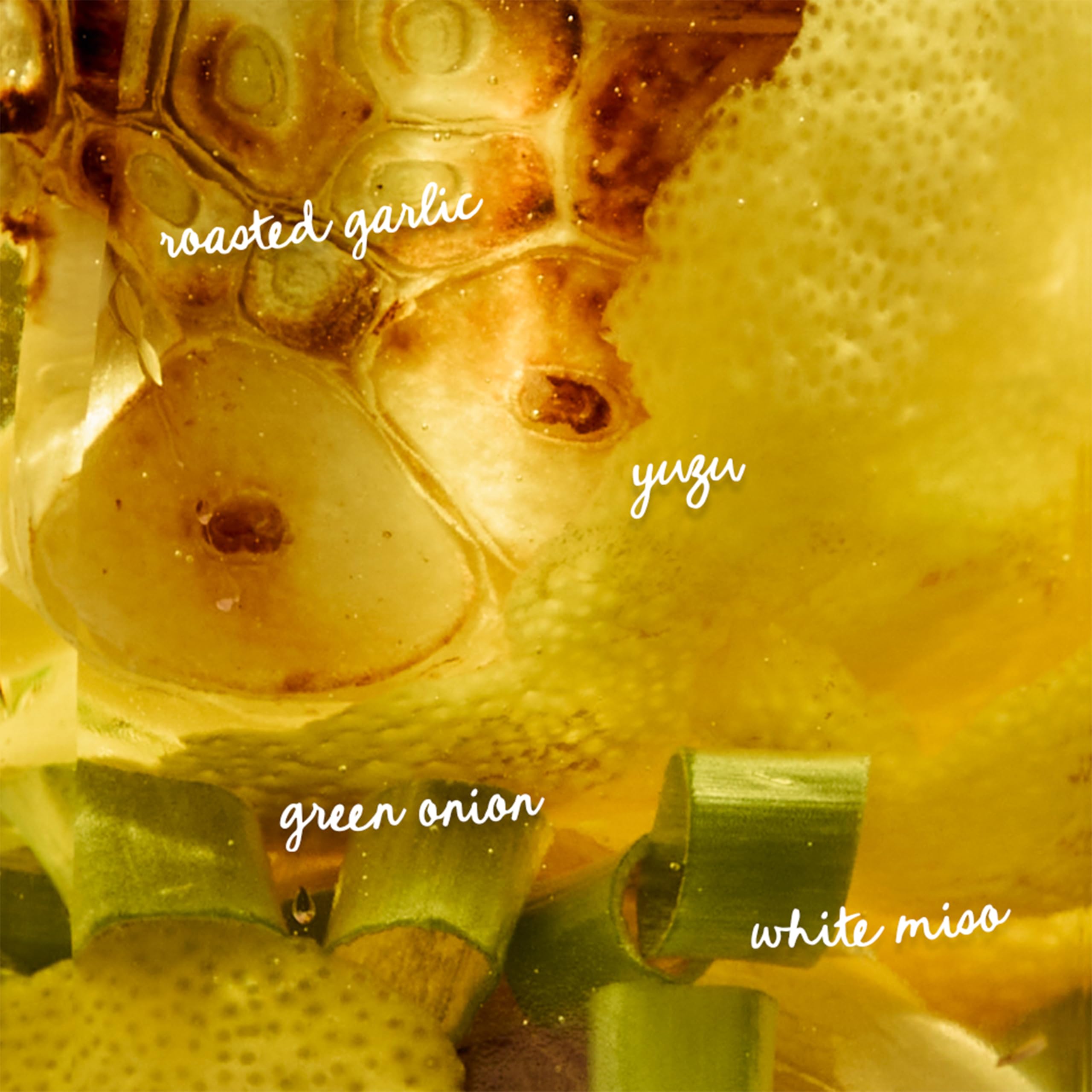 Algae Cooking Club roasted garlic and charred scallions close-up illustrating infused flavors