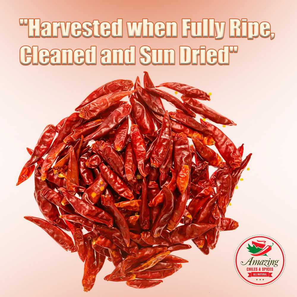 Amazing Chiles & Spices close-up of dried arbol texture highlighting freshness
