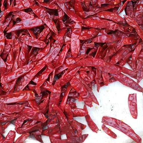 Amazing Chiles & Spices kitchen scene with chiles used in everyday cooking