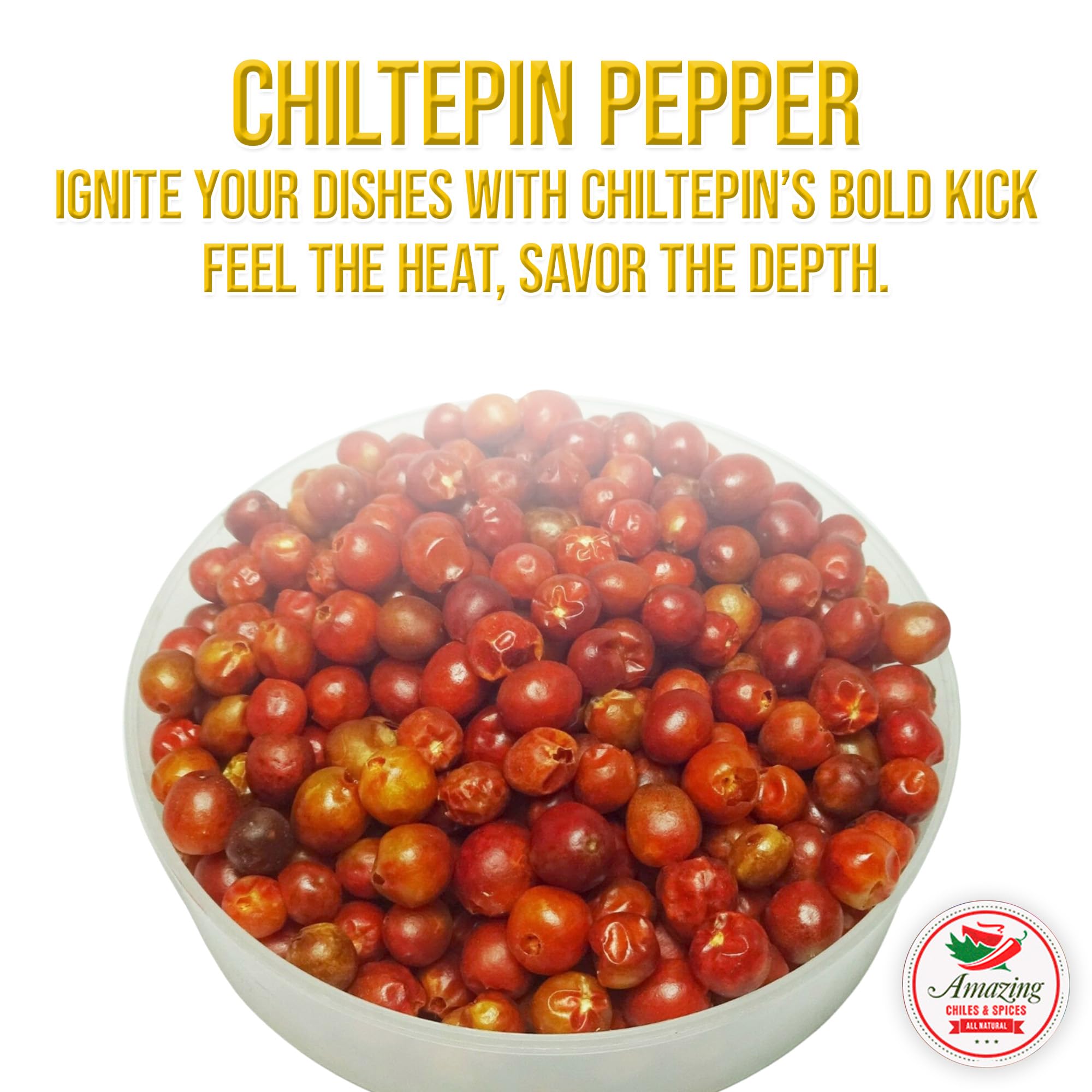 Amazing Chiles chiltepin on wooden spoon ready to measure heat for recipes
