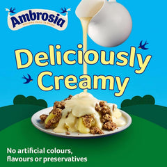 Ambrosia spoon lifting custard from a bowl demonstrating ready-to-serve convenience