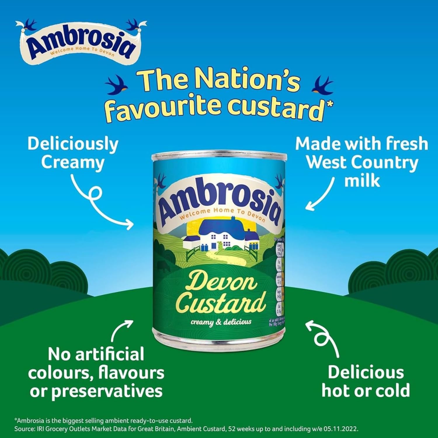 Ambrosia close-up of custard texture highlighting smooth milk-based creaminess