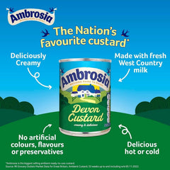 Ambrosia close-up of custard texture highlighting smooth milk-based creaminess