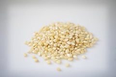Amish Country Popcorn kernel close-up highlighting uniform baby white kernels for consistent popping