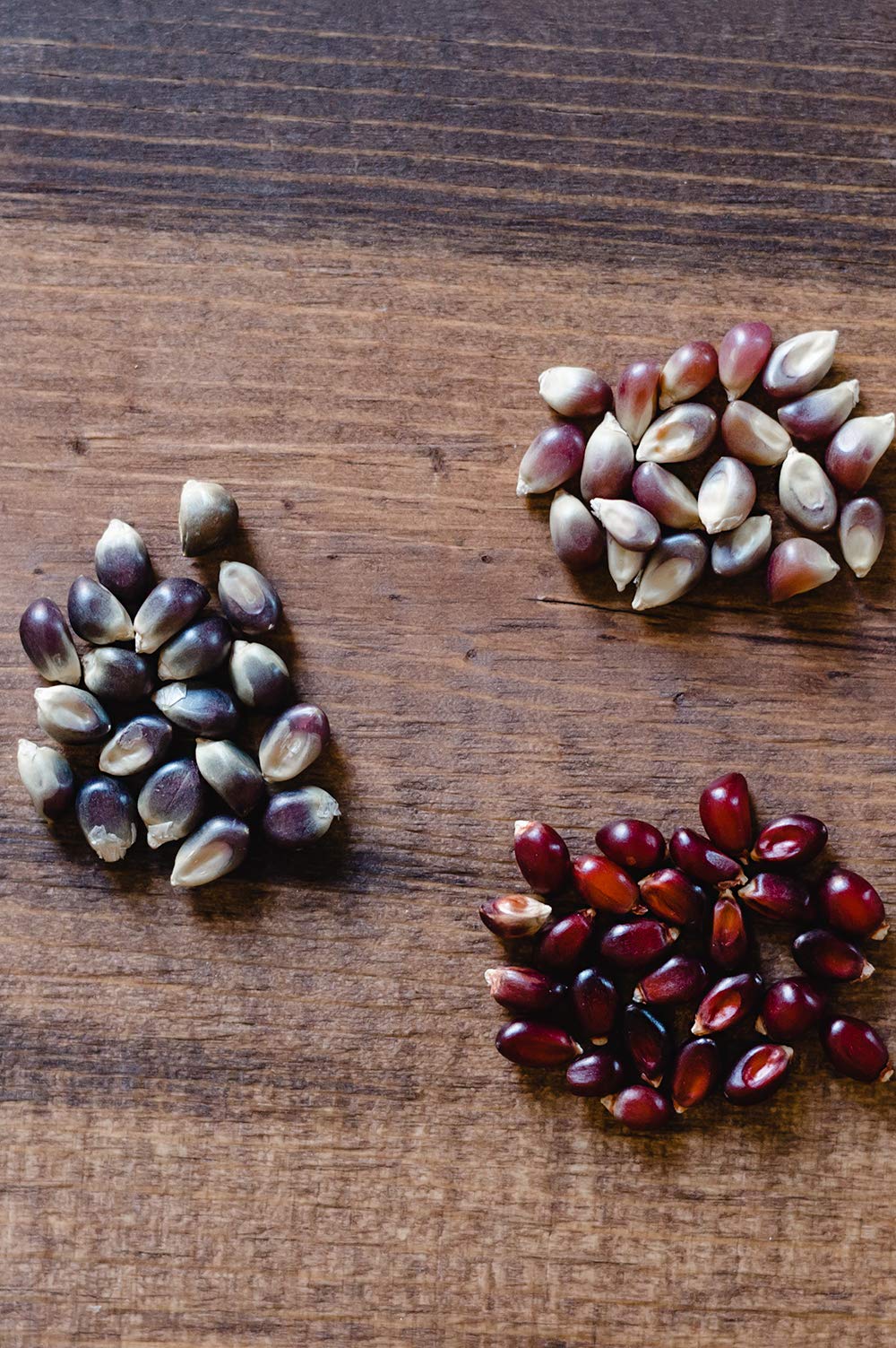 Stovetop popcorn popping with Amish Country Popcorn kernels demonstrating easy use