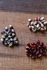 Stovetop popcorn popping with Amish Country Popcorn kernels demonstrating easy use