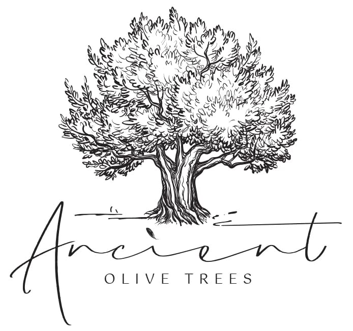 ANCIENT OLIVE TREES drizzled over strawberries adding sweet-tangy contrast