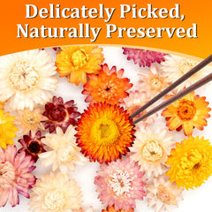 Andekas petals decorating a cupcake providing rustic charm and eye-catching detail