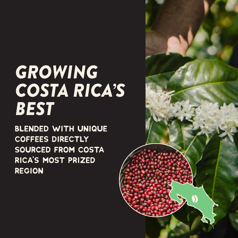 Label with Costa Rica Tarrazú map on Angelino's package emphasizing traceable single-origin sourcing