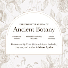 Anima Mundi Apothecary powder stirred into coffee creating creaminess and richer flavor