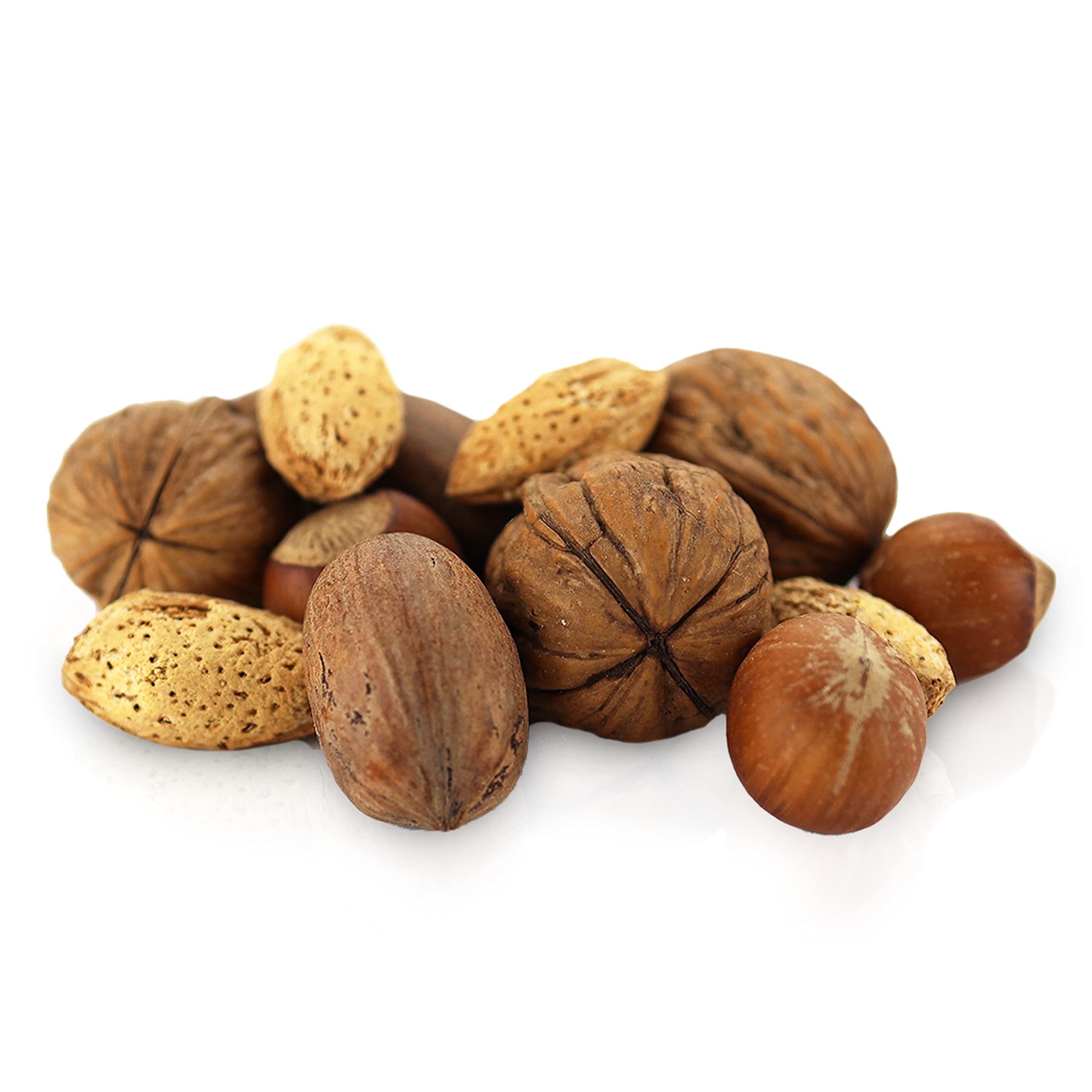 Anna and Sarah pecan shell texture close-up showing extra-large pecans and buttery taste