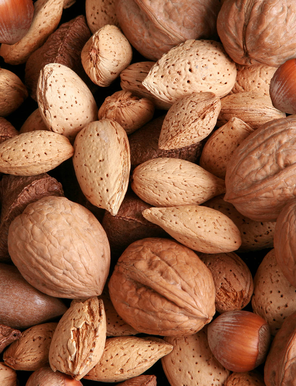 Anna and Sarah front box of mixed nuts in shell showing brand and weight benefit