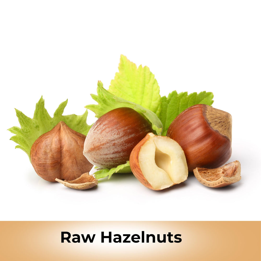 Anna and Sarah hazelnuts held in hand for scale showing whole shell-free filberts