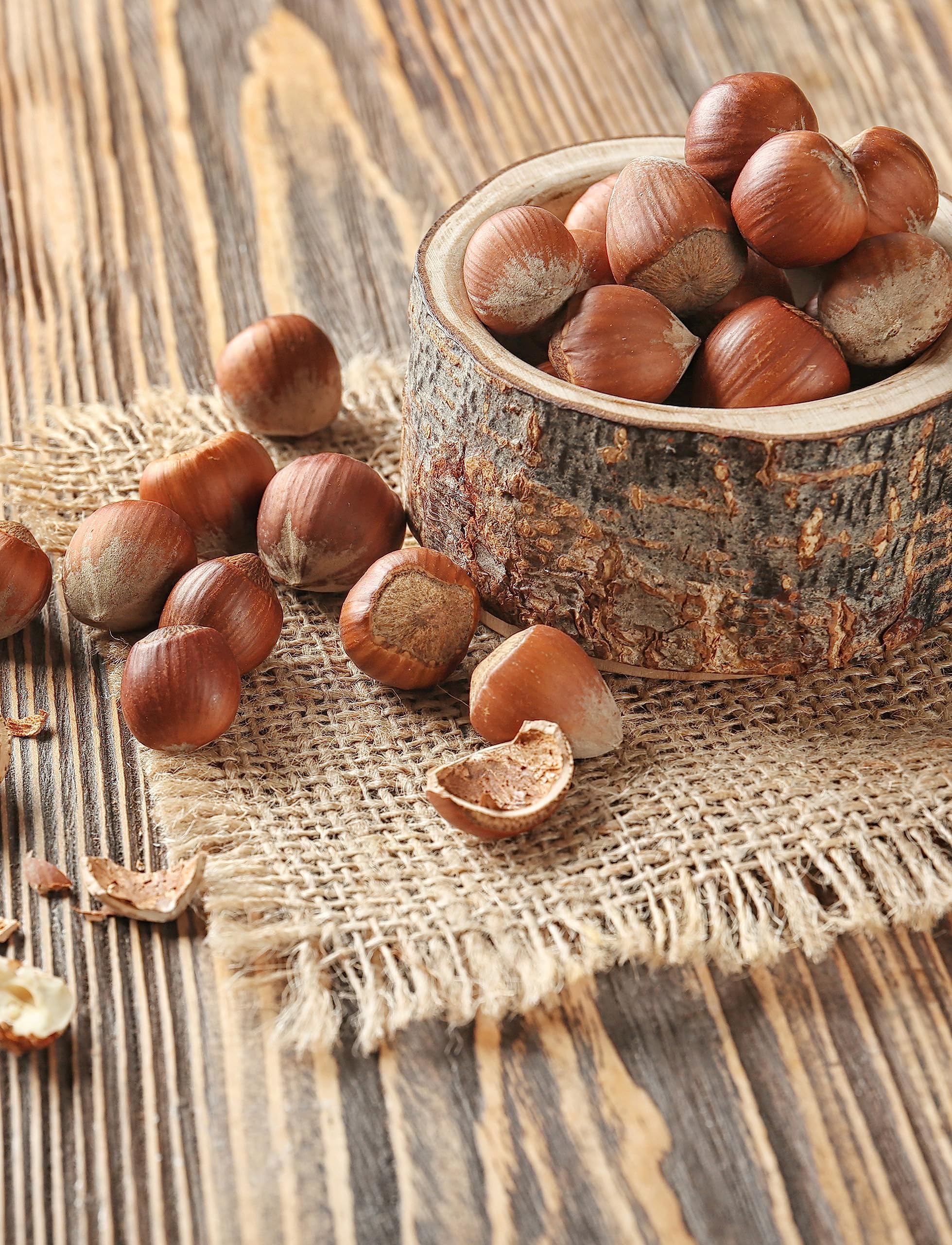 Anna and Sarah shelled hazelnut kernels close-up showing rich color and baking use