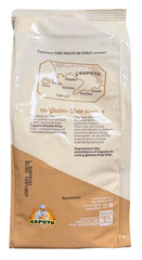 Antimo Caputo stretched pizza dough demonstrating elasticity and workability