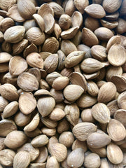 Apricot Bitter Kernel Meal in bowl mixed ready as scrub for gentle skin renewal