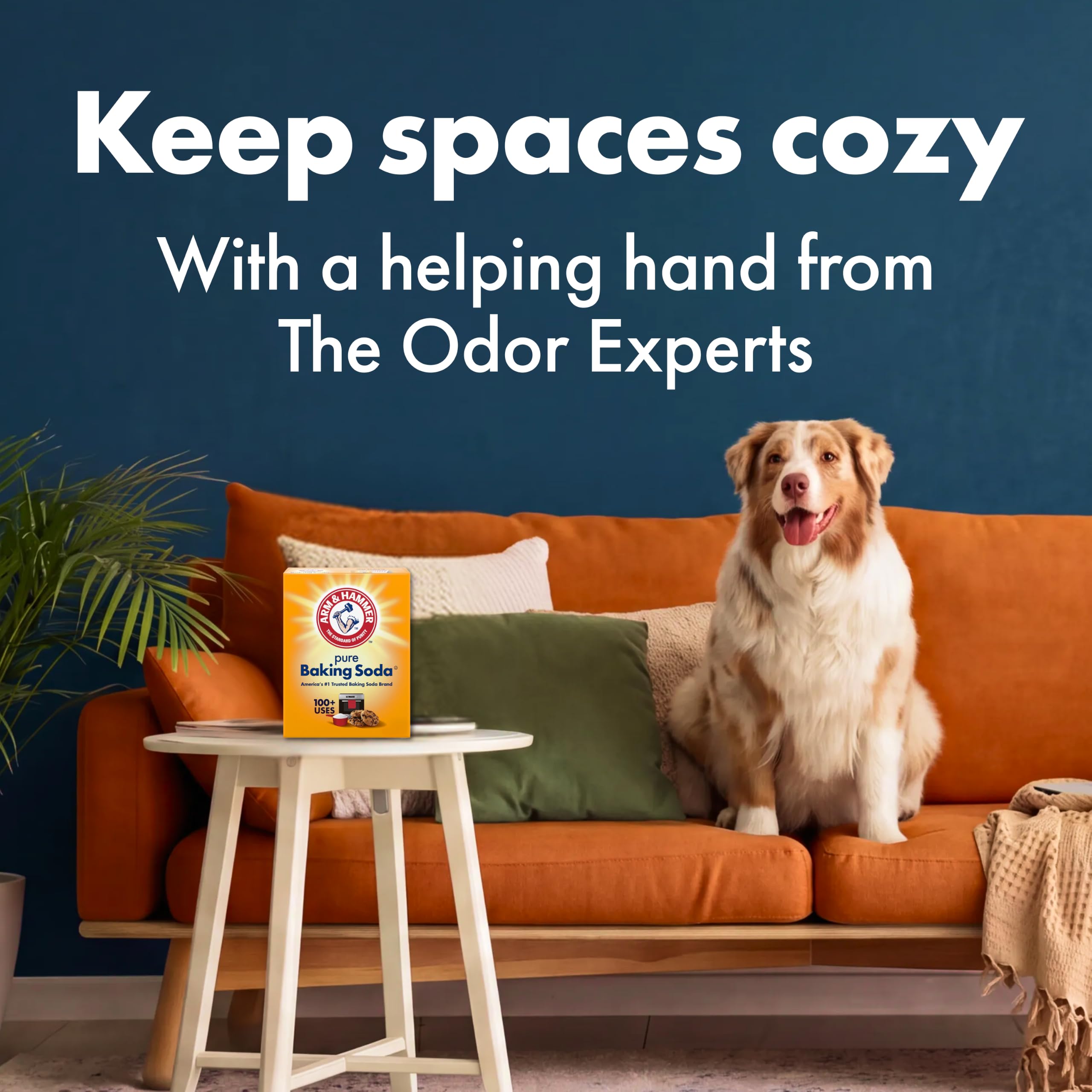 Arm & Hammer added to laundry demonstrating brightening and odor reduction