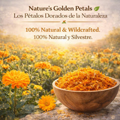 B-Experts close-up of dried marigold petals highlighting texture and vibrant color preservation