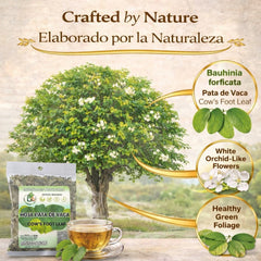 B-Experts close-up of dried Bauhinia leaves highlighting natural texture and aroma