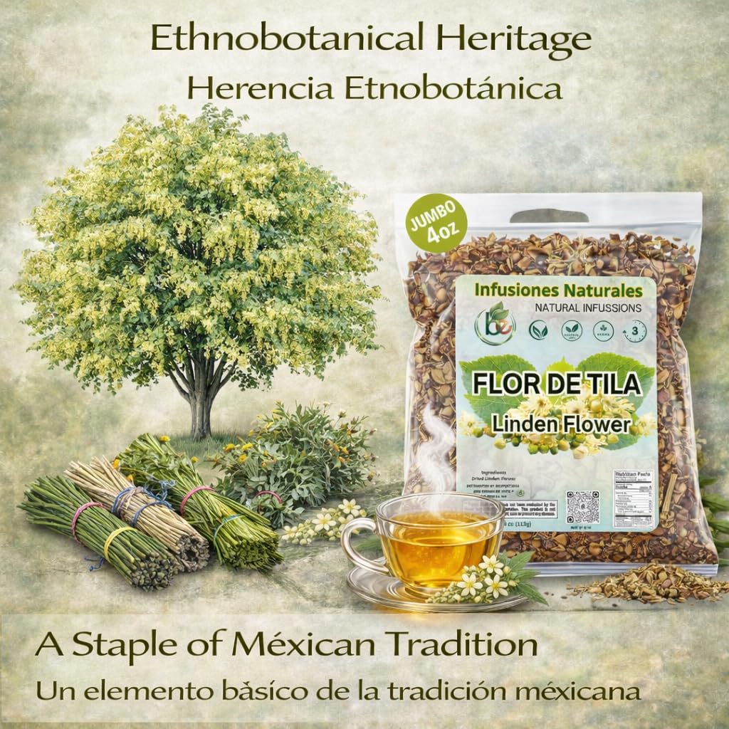 B-Experts wild forest where Tila Seca is ethically harvested