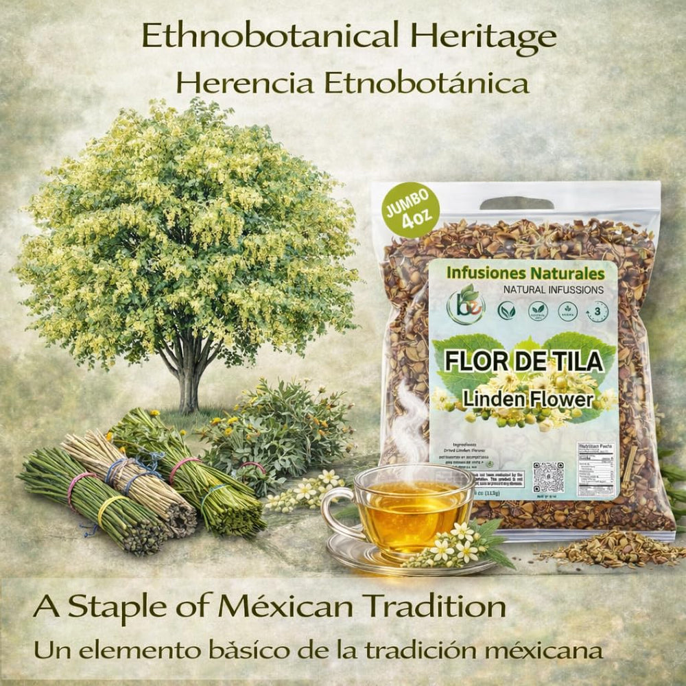 B-Experts wild forest where Tila Seca is ethically harvested