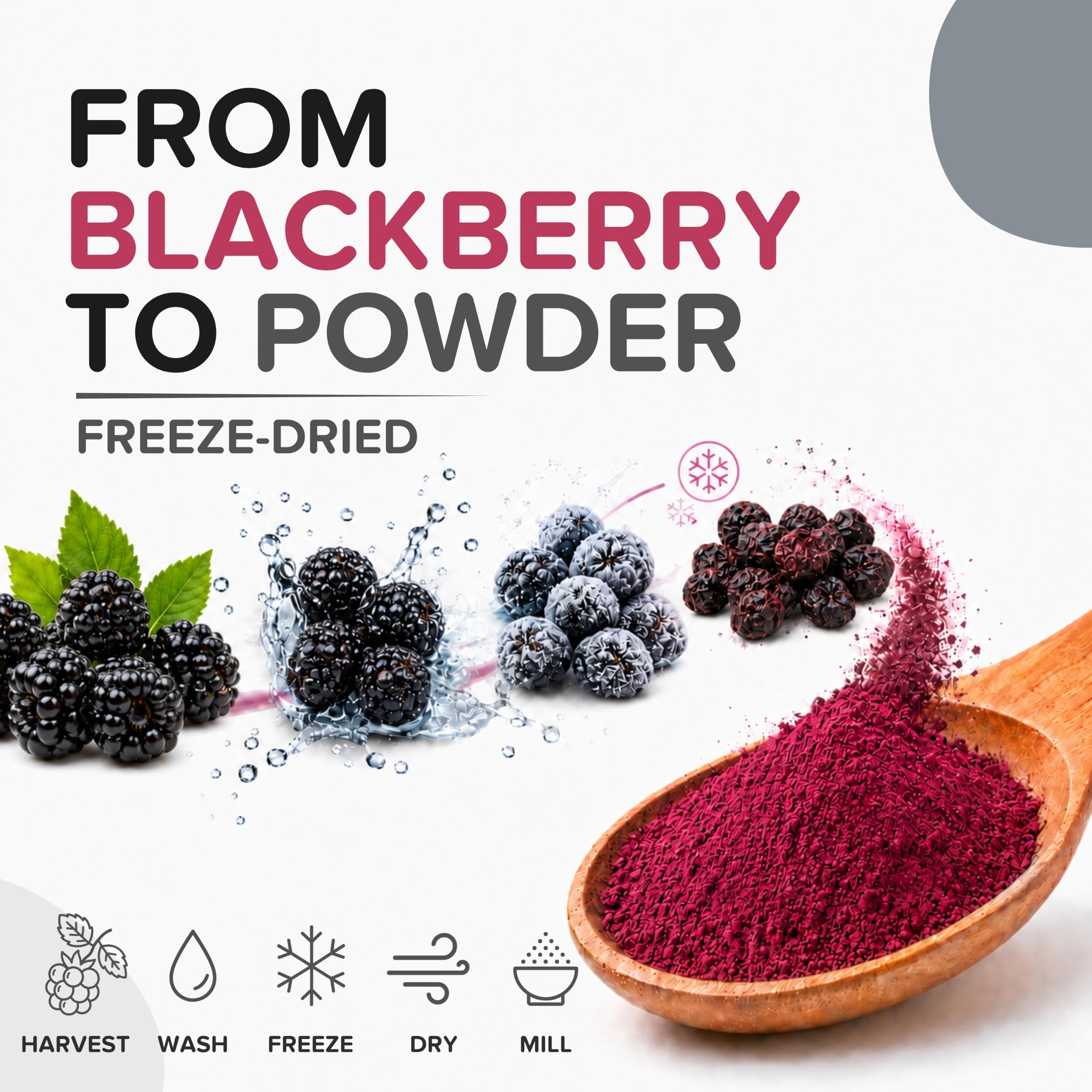 b product label showing b ingredients and EU-made quality assurances