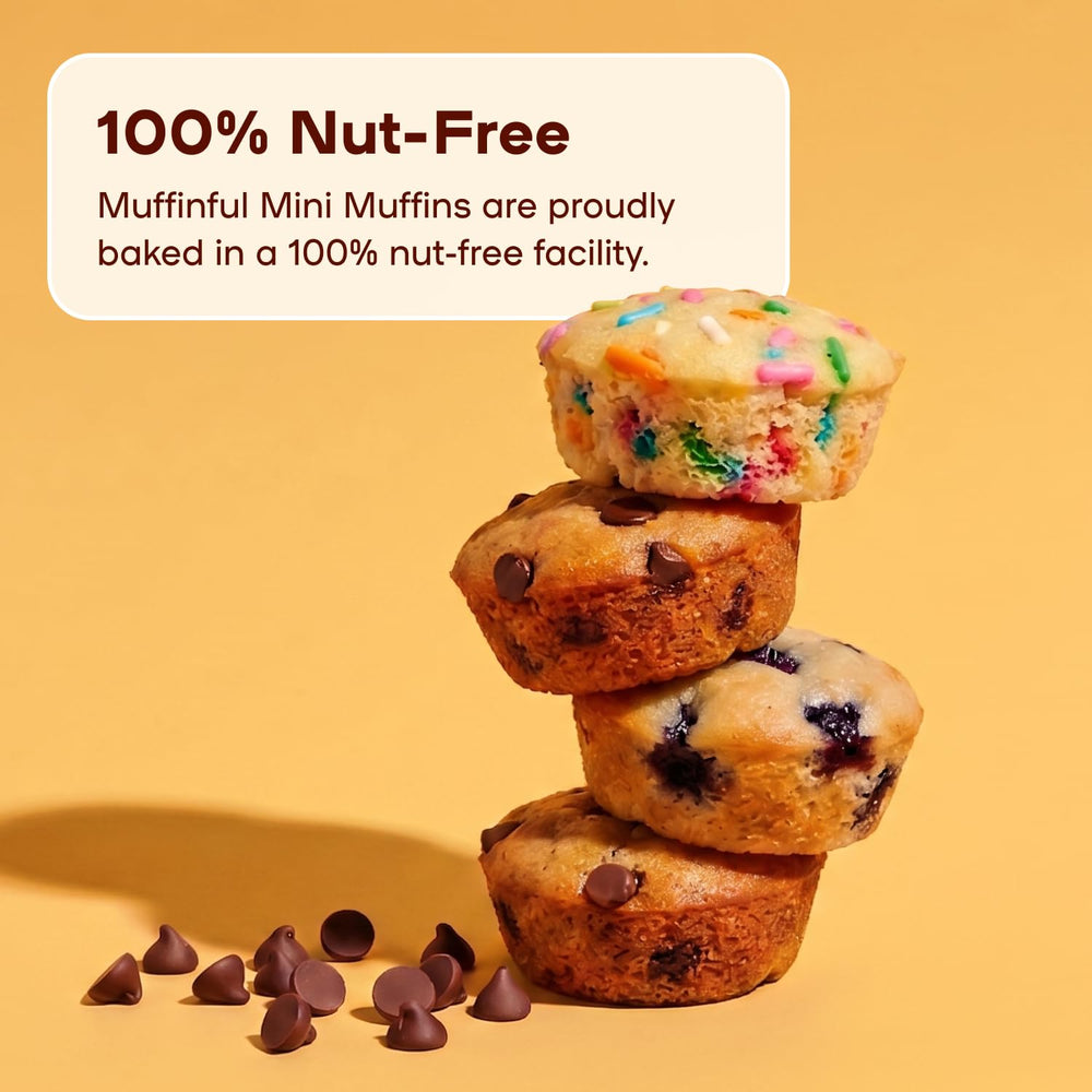 Bakeful four-pack box layout demonstrating portioned packs and storage ease