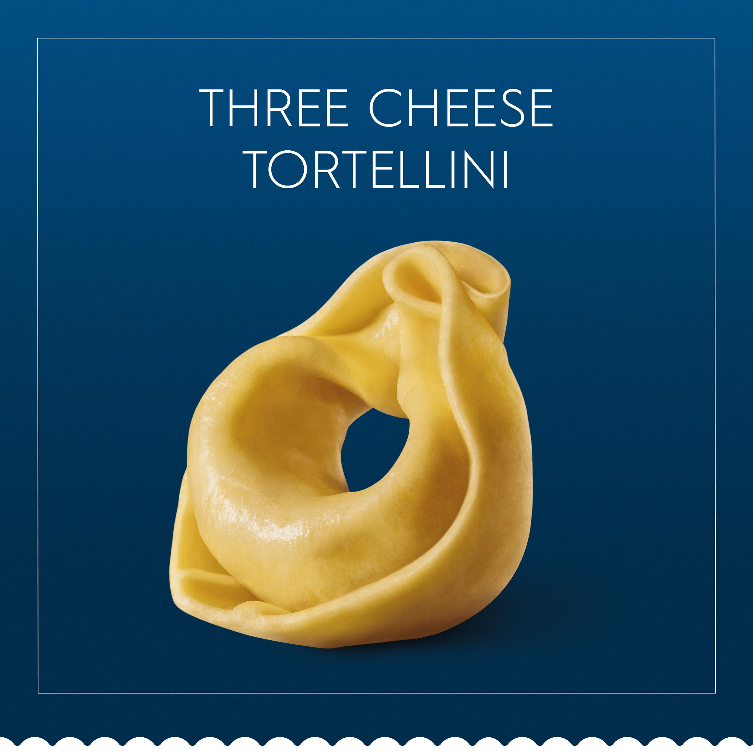 Barilla tortellini in hand for scale illustrating portion size and easy preparation