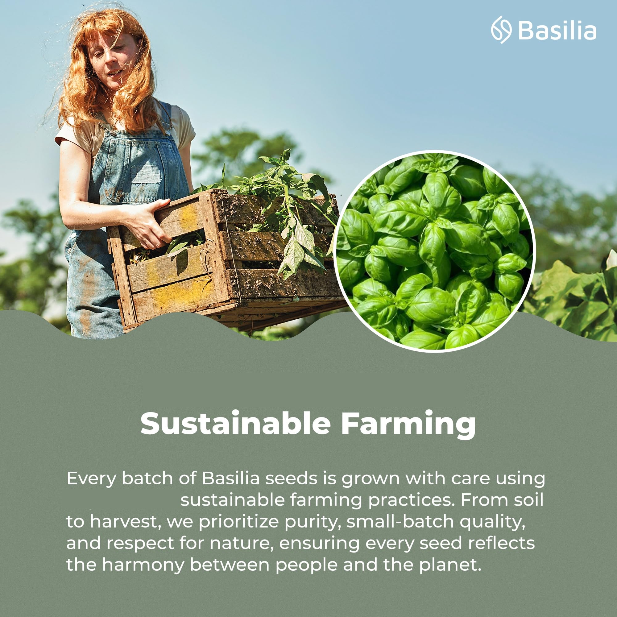 Basilia seeds blended into smoothie for added fiber and creaminess