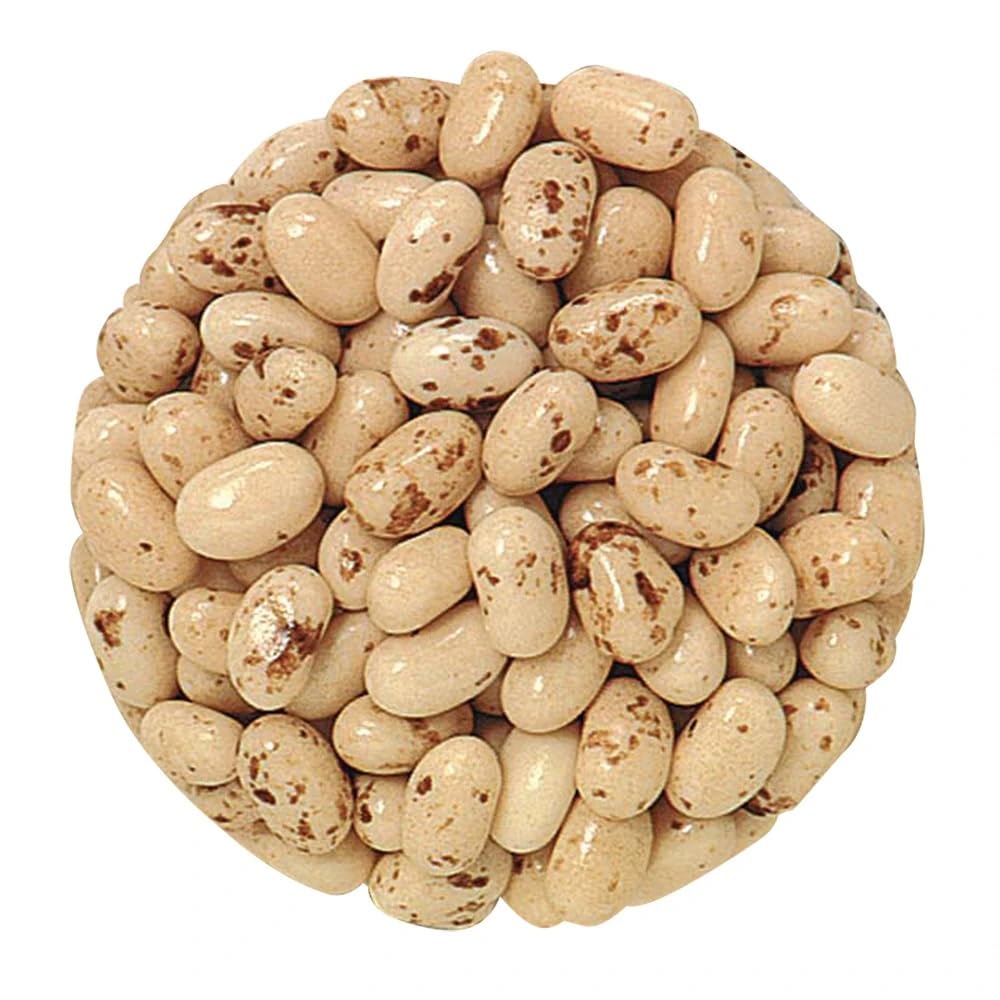BAYSIDE CANDY front packaging showing toasted marshmallow jelly beans and vibrant colors for snacking