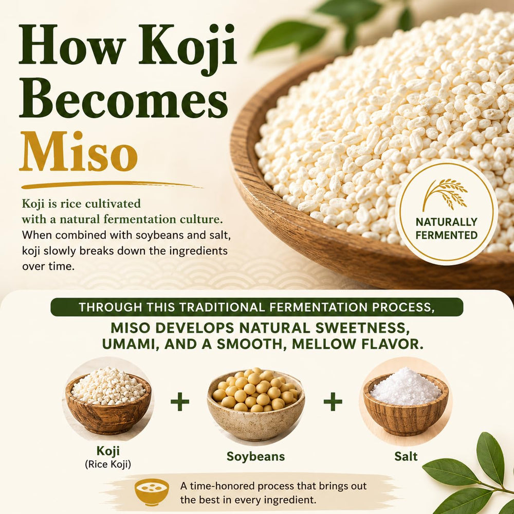 BAYU STORE miso texture on spoon, smooth paste ideal for sauces