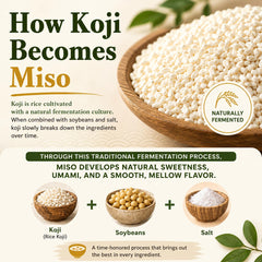 BAYU STORE miso texture on spoon, smooth paste ideal for sauces