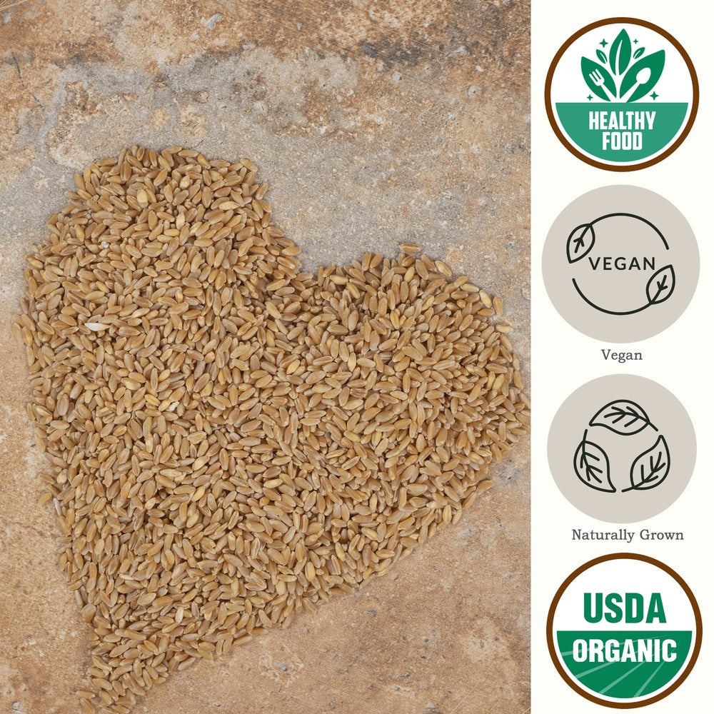 Be Still Farms close-up of organic einkorn wheat berries highlighting texture and whole-grain quality