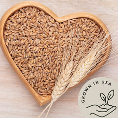 Be Still Farms einkorn being ground to flour in a mill, illustrating baking-ready ancient grain