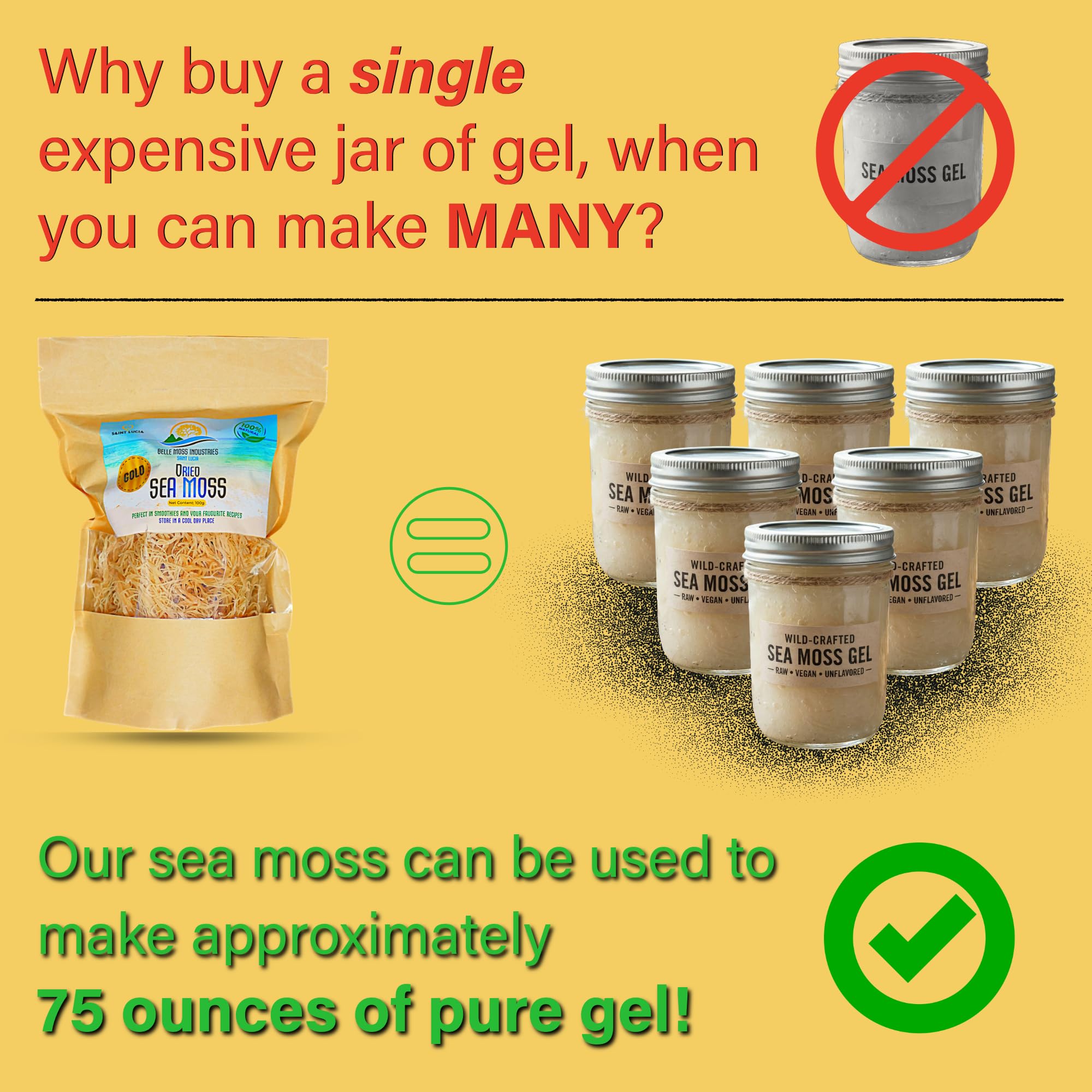 Belle Moss used in a smoothie in kitchen setting showing culinary versatility