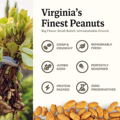 Belmont Peanuts close-up of large Virginia kernels highlighting crunchy texture