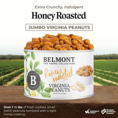 Belmont Peanuts close-up of honey glaze and crunchy texture highlighting sweet-crisp flavor
