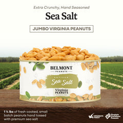 Belmont Peanuts closeup of jumbo kernels highlighting crunchy texture