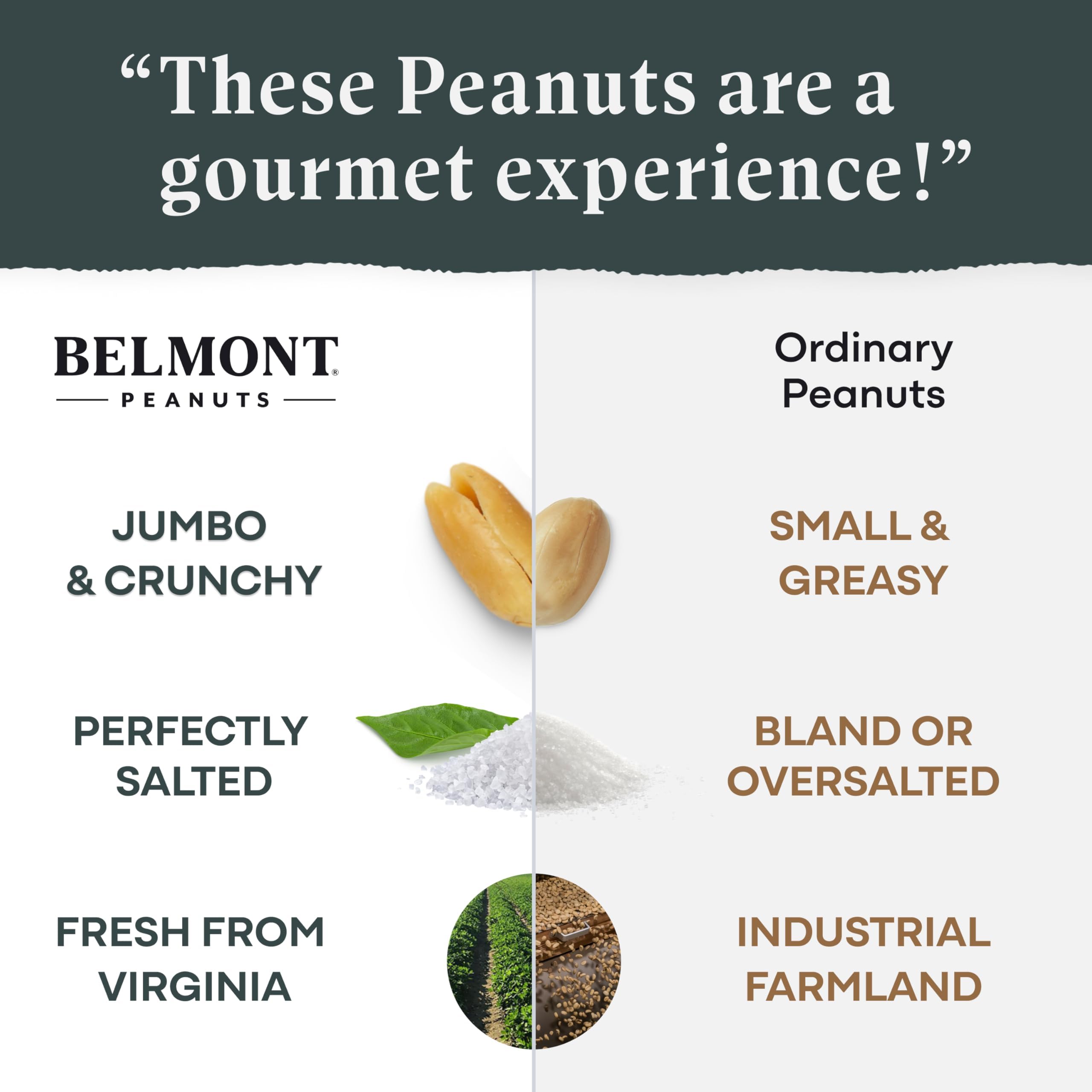 Belmont Peanuts hands seasoning batch illustrating small‑batch care