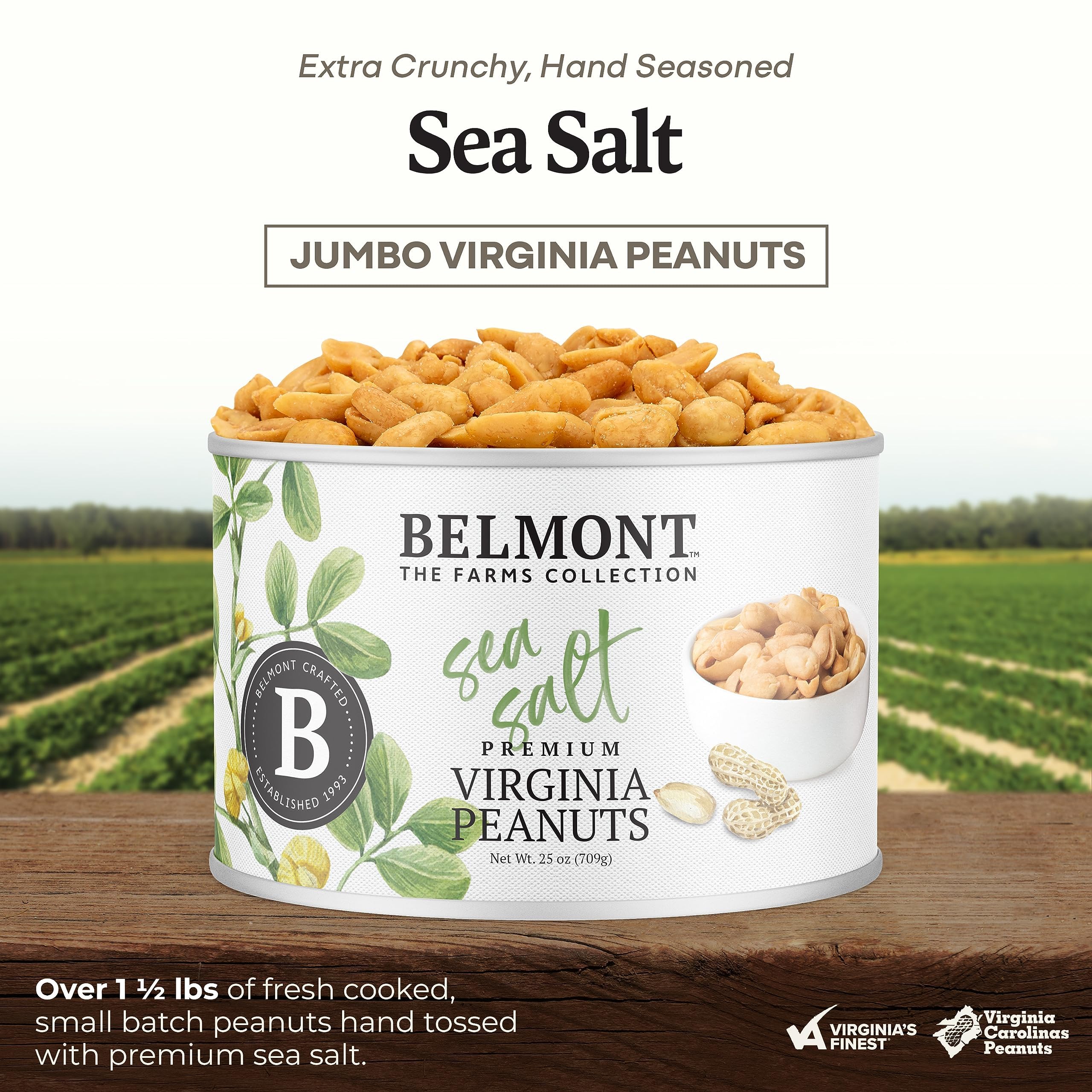 Belmont Peanuts close-up of roasted peanut texture highlighting extra-large crunch benefit