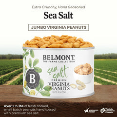 Belmont Peanuts close-up of roasted peanut texture highlighting extra-large crunch benefit