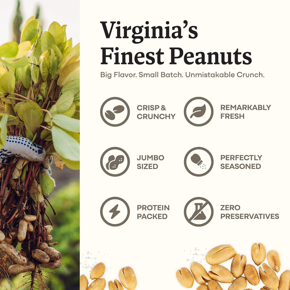 Belmont Peanuts roasted surface detail showing golden-brown roast for bold, fresh flavor