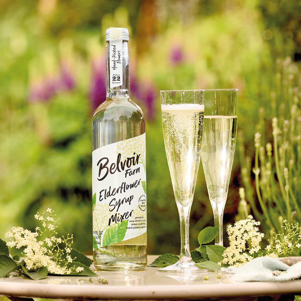 Belvoir Fruit Farms elderflower cordial in cocktail showing mixology pairing ideas