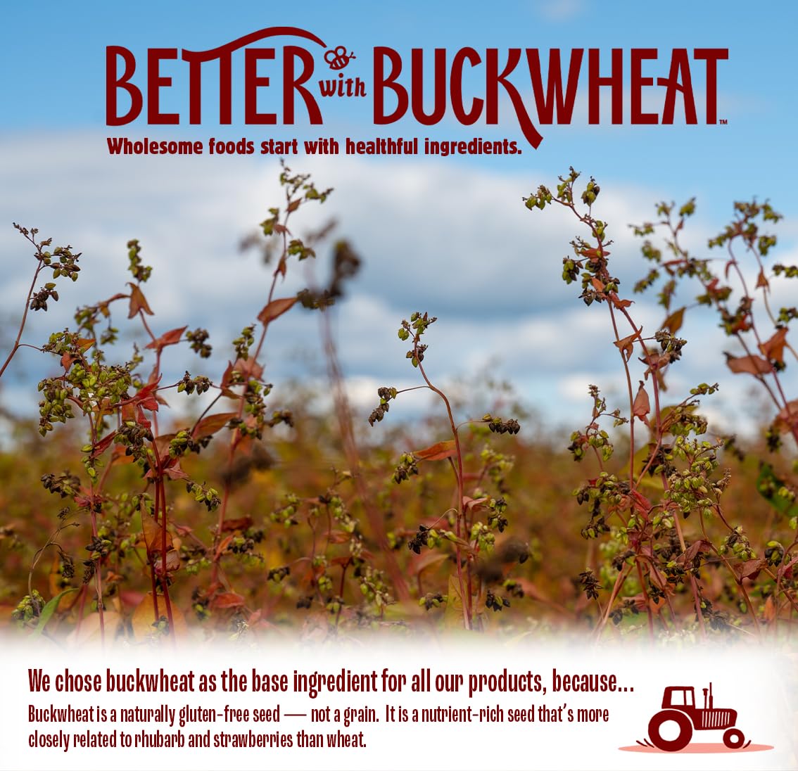 Better With Buckwheat close-up cracker texture highlighting crispness and whole‑seed appeal